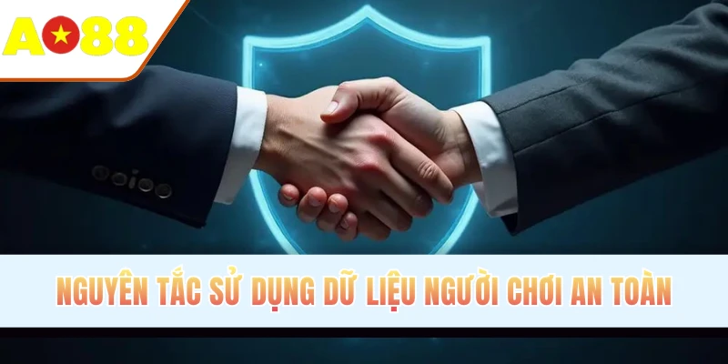Nguyên tắc sử dụng dữ liệu người chơi an toàn Nguyên tắc sử dụng dữ liệu người chơi an toàn